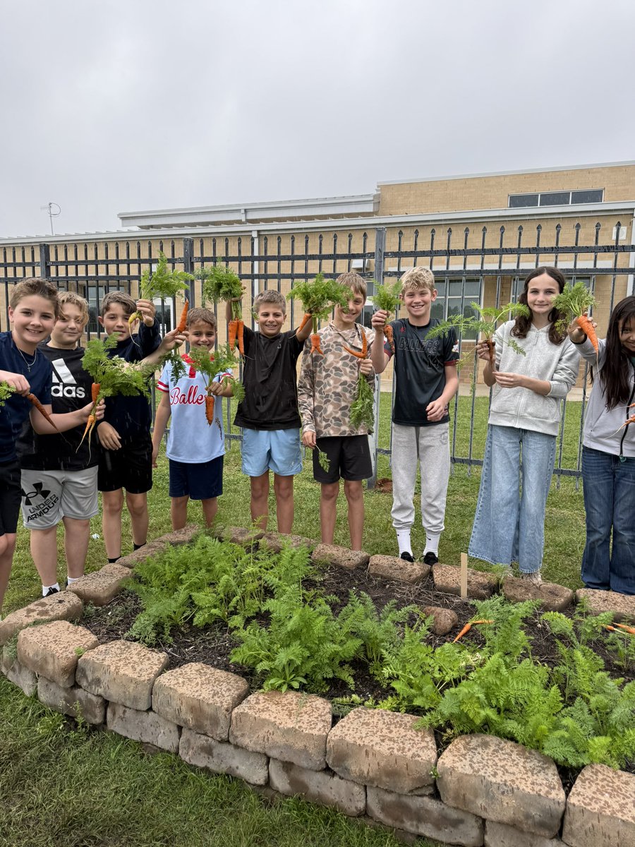 Kara Wolf tweet media