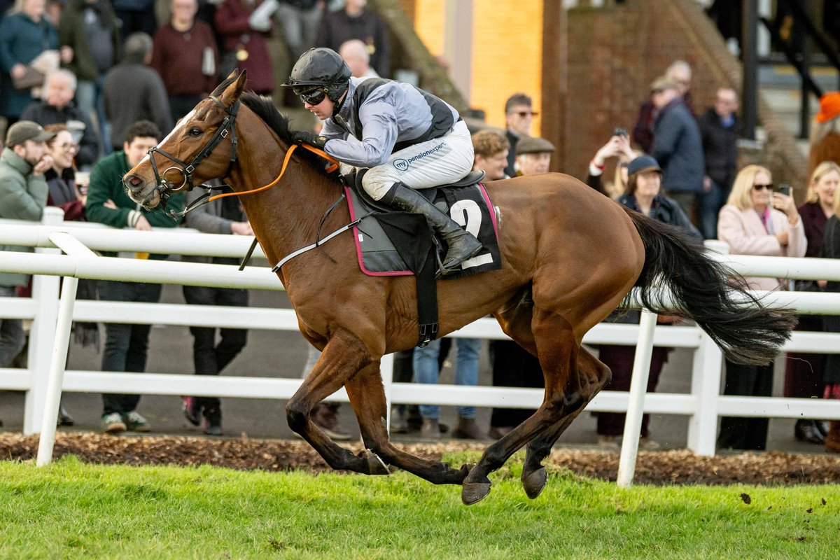 Plumpton Racecourse tweet media
