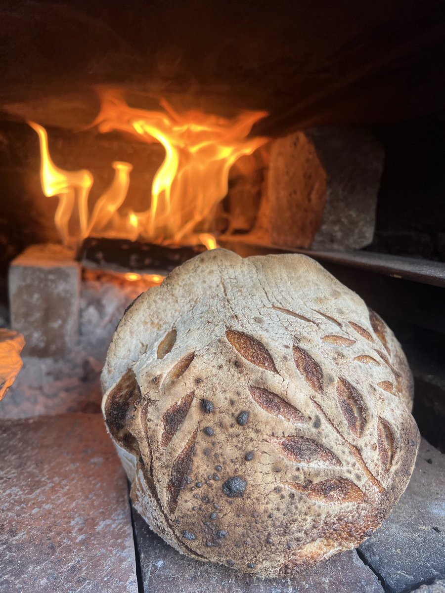 ₿itcoin ₿oet tweet media