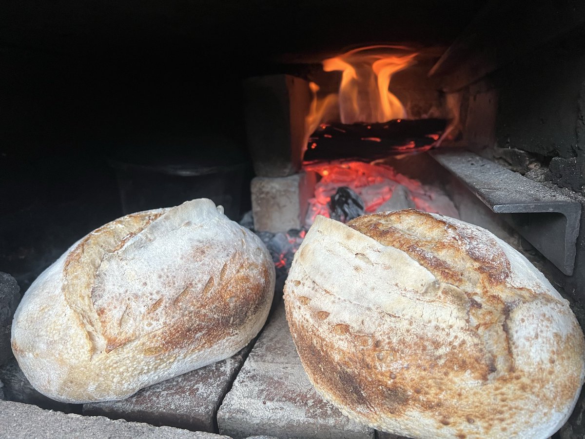 ₿itcoin ₿oet tweet media