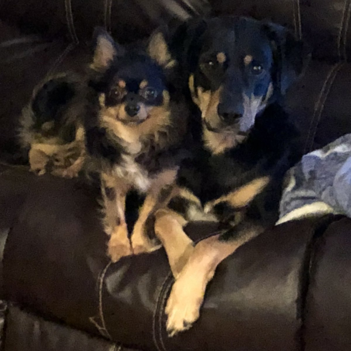 Cleo 🌈 of Hellbeasts tweet media