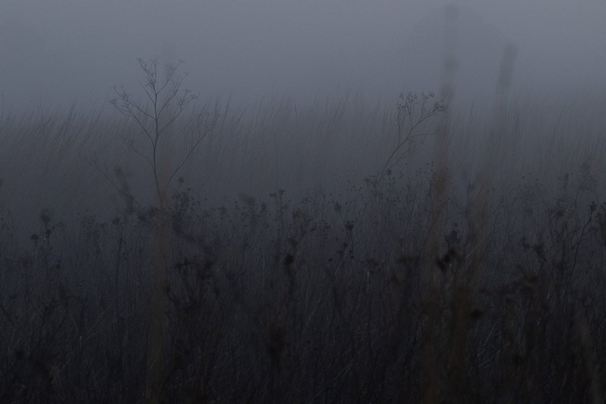 Some other photos from that morning, it was strange in the fog