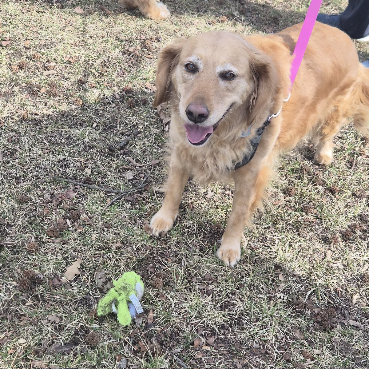 Justin Roberti tweet media