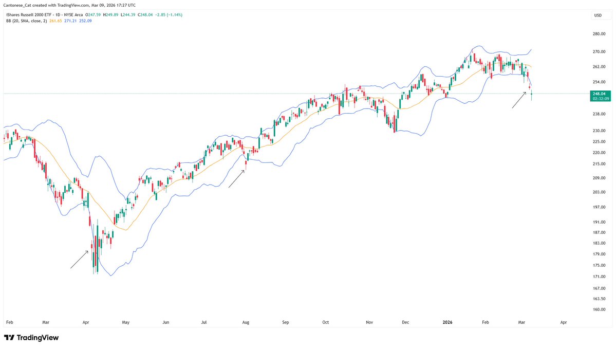 Cantonese Cat 🐱🐈 tweet media