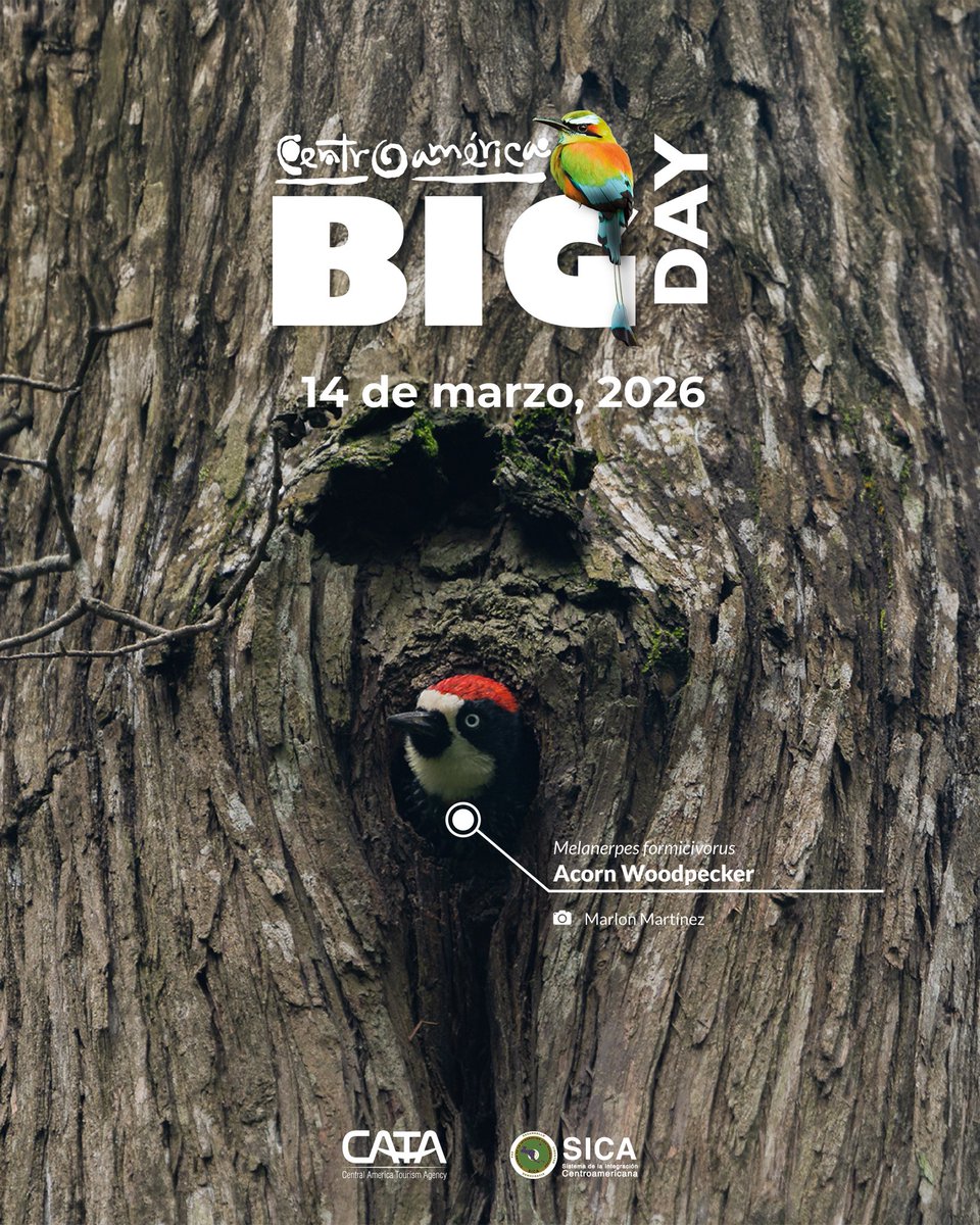 CATA Centroamérica tweet media