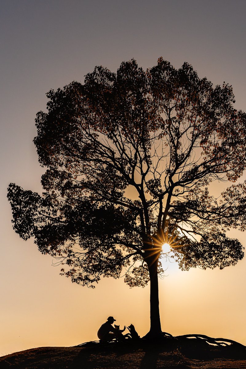 撮影会やったあとに妻さんとりくととうみも撮った😌

思い出づくりできた😊
