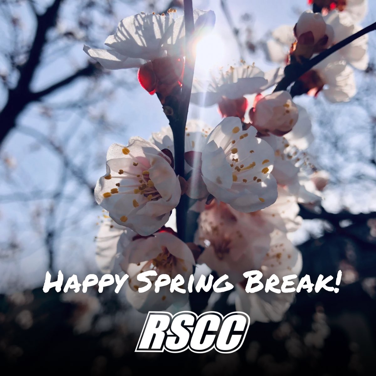 Roane State tweet media