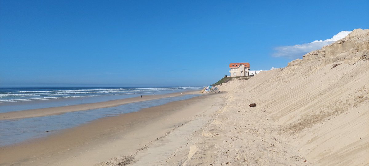 LTZ40600's tweet image. #Biscarrosse