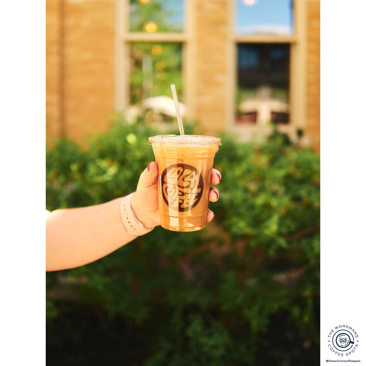 Alex Workman tweet media