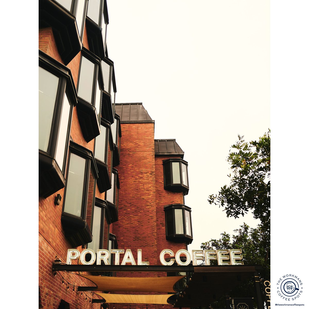 Alex Workman tweet media