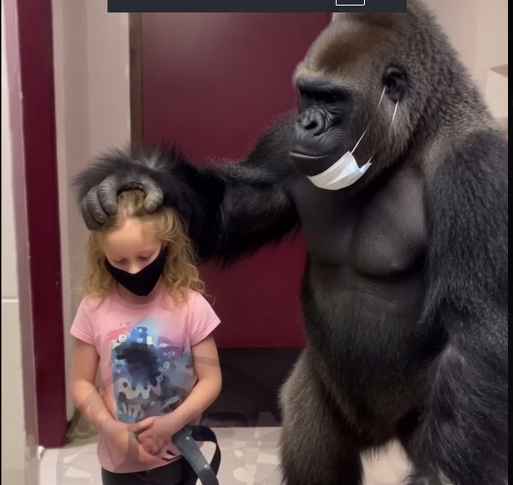 Welder's Son tweet media