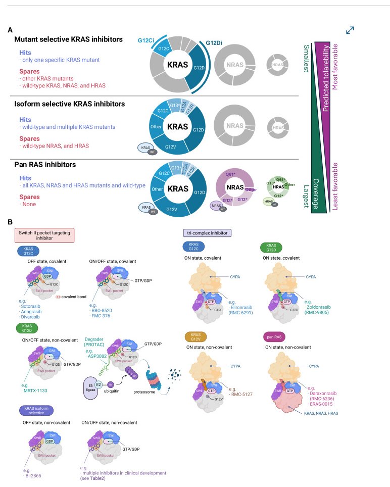KRAS Kickers tweet media