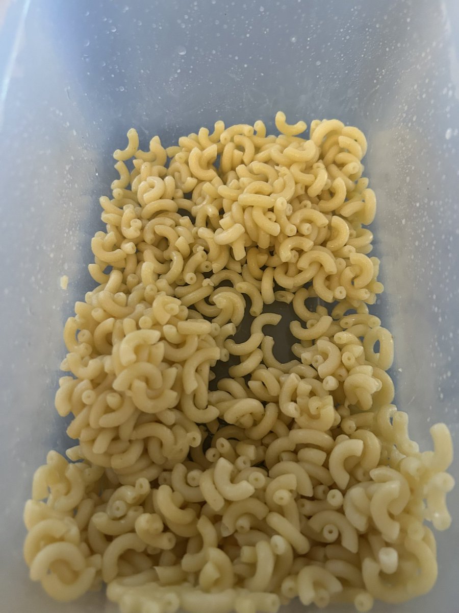 Madame Haki fait des pâtes au bouillon de bœuf pour la chienne et moi, j’ai des haricots verts et des brocolis, des puddings de Chia… Toussa Toussa 
Elle trouve que j’en donne trop parce que la boîte se vide rapidement. Oui, vous avez compris, je pique la bouffe de mon chien !