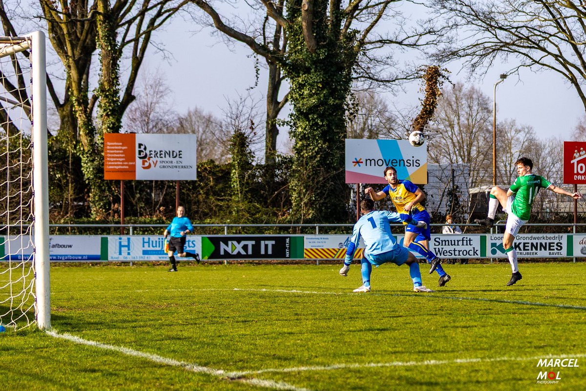 V.V. Bavel tweet media