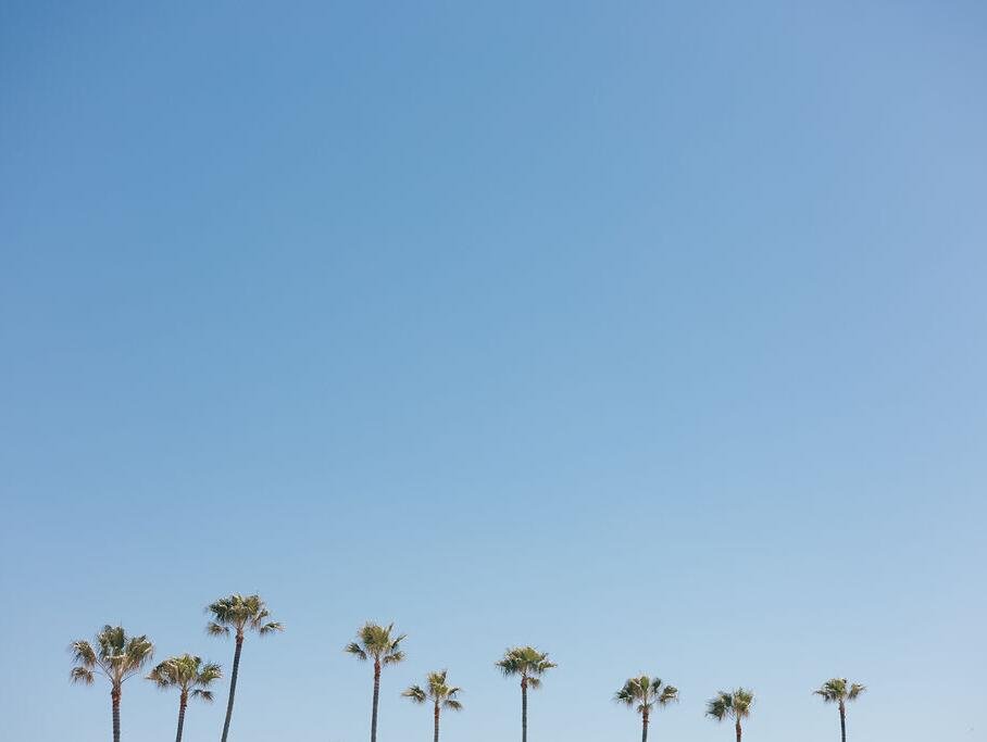 Shade Hotel Manhattan Beach tweet media