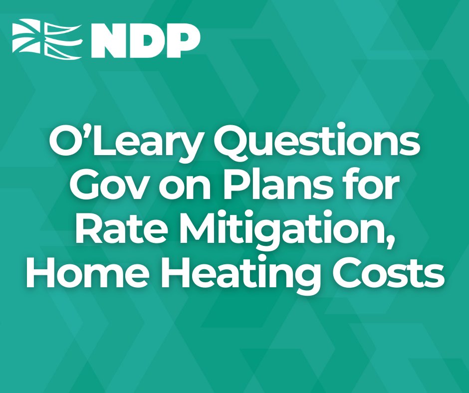 The NL NDP tweet media