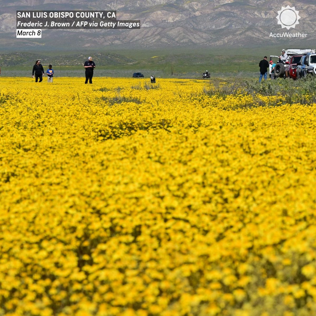 AccuWeather tweet media