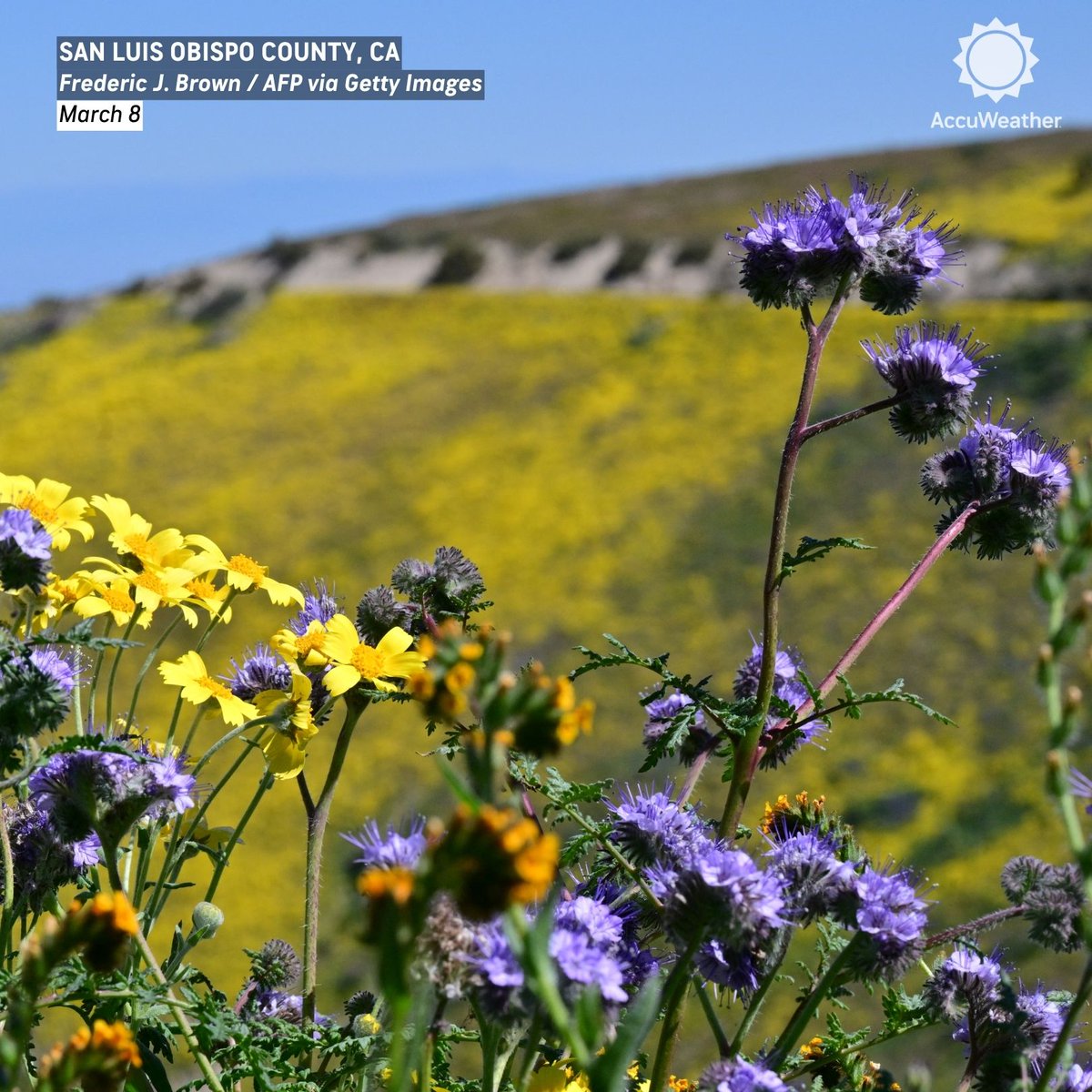 AccuWeather tweet media