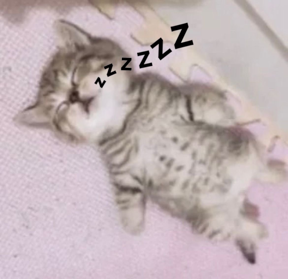 카!이! tweet media