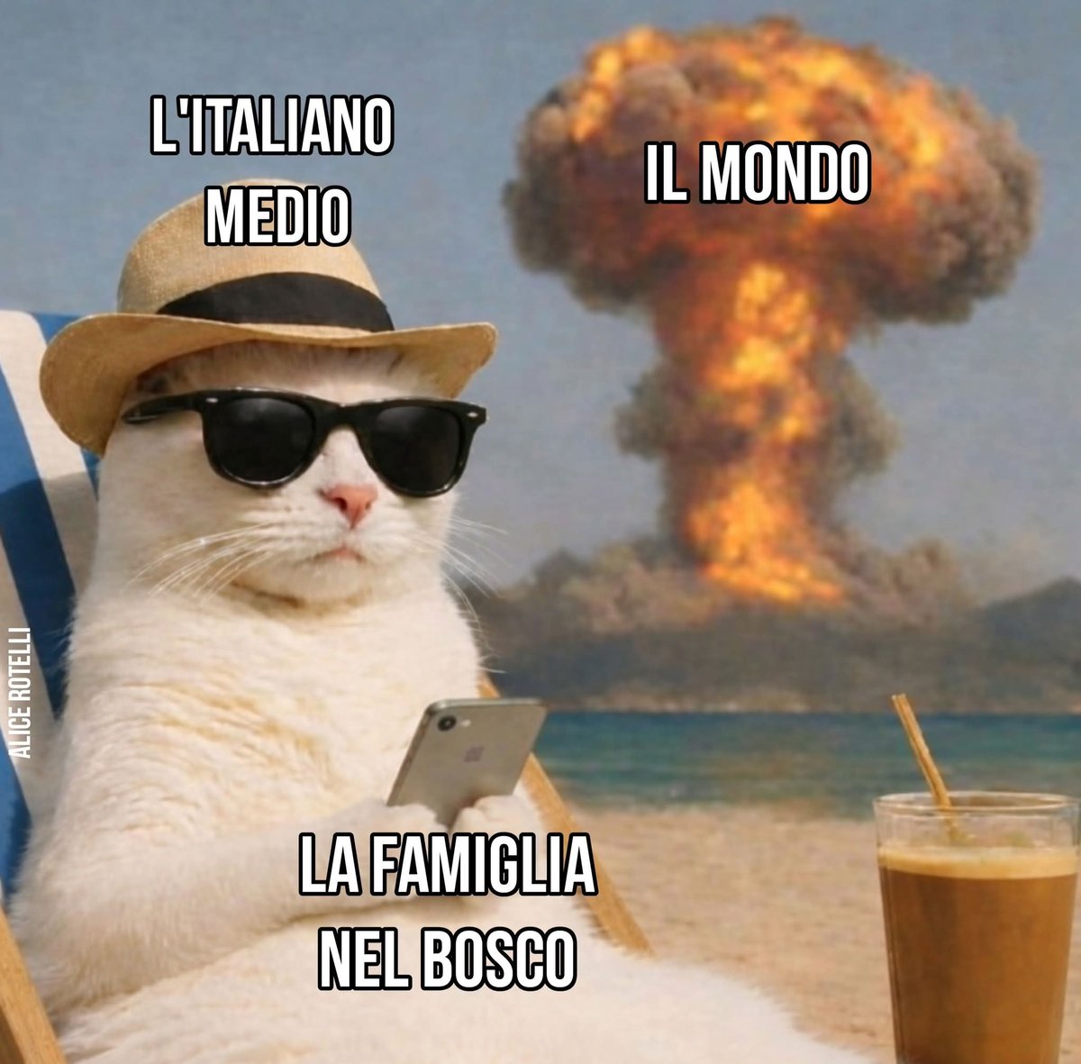 Alice Rotelli tweet media