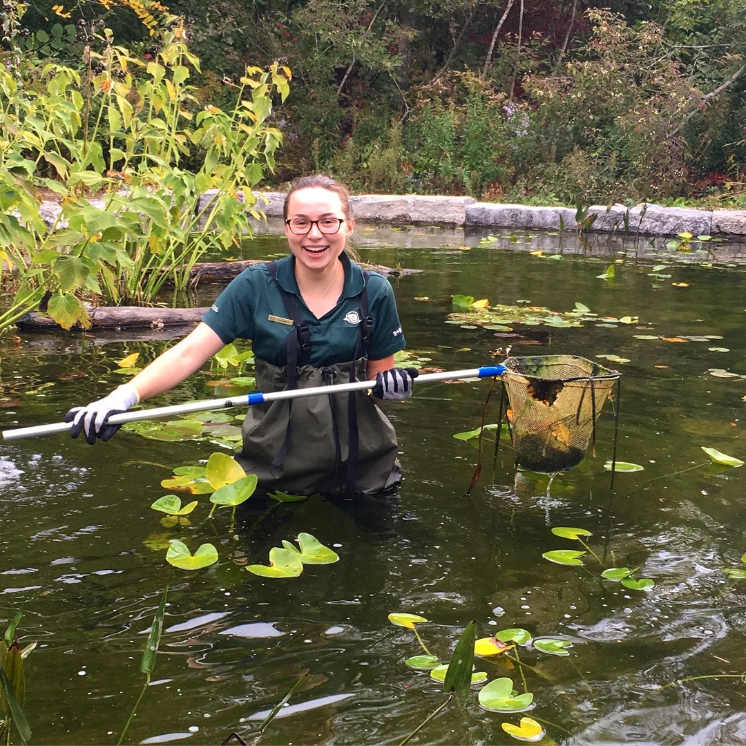 Heritage NL tweet media