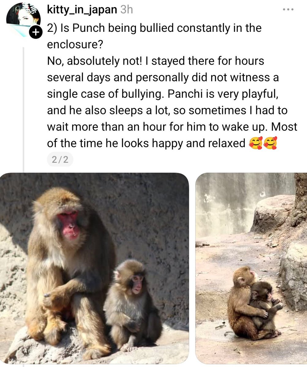 Vina Verde🎙️🎧🎸 || streaming LABUBU 🎵 tweet media