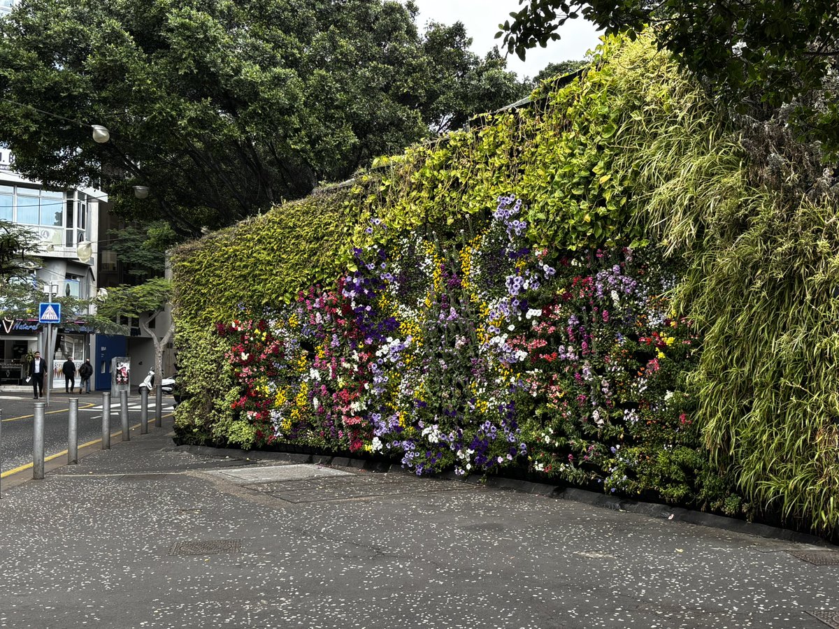 ElojodeSantaCruz tweet media