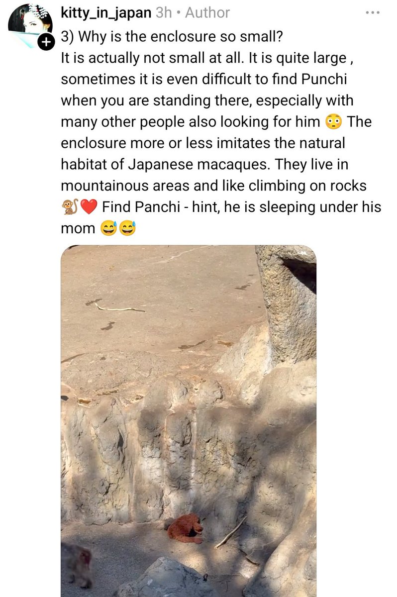 Vina Verde🎙️🎧🎸 || streaming LABUBU 🎵 tweet media