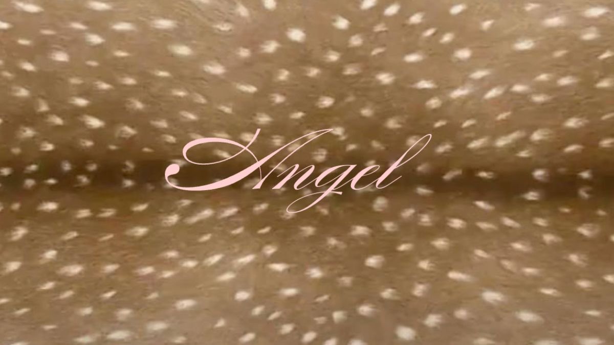 ᨳິ ݂ ֯ ˖ tweet media