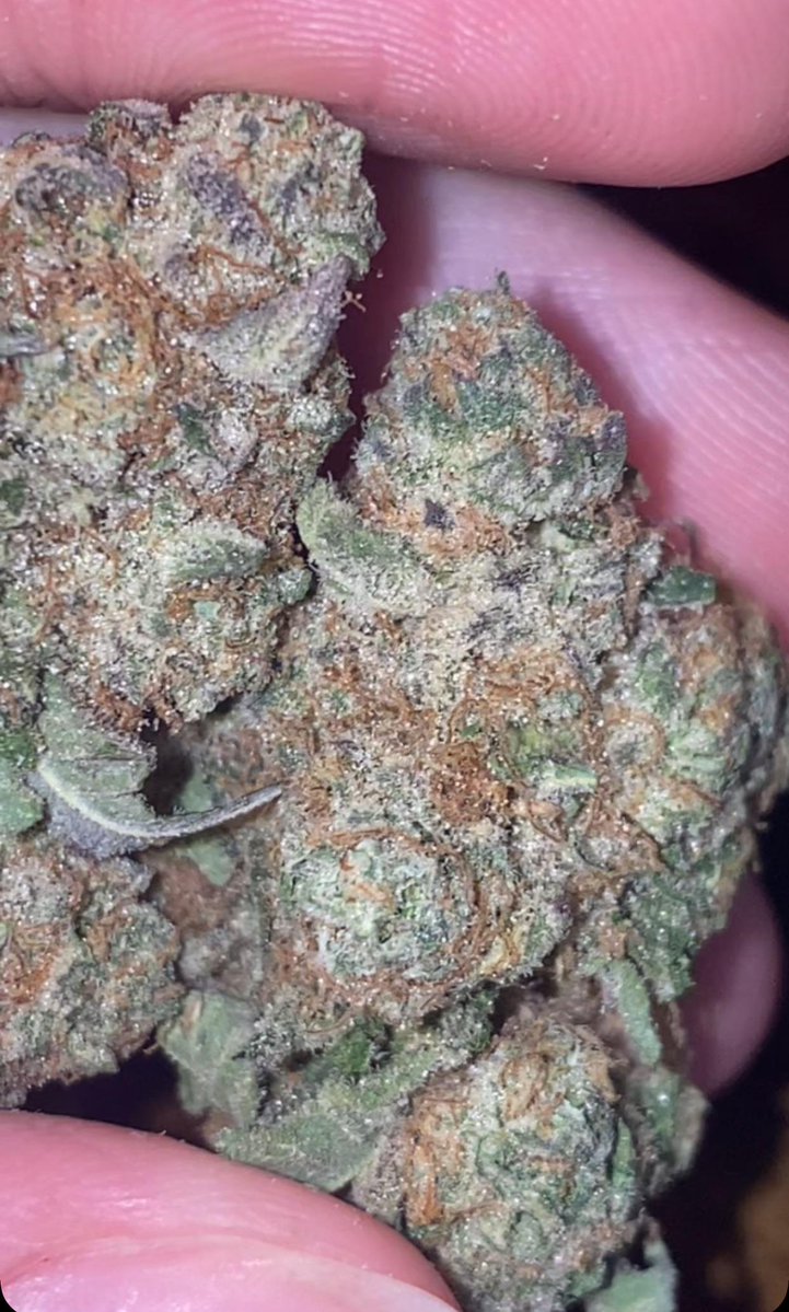 montana951231's tweet image. Who needs a plug in #Alt

🔗👇
t.me/Owensm 

#Altplug  freaks Marietta covington Athens Newnan Lagrange Columbus Macon area Hawkinsville Fitzgerald Valdosta Leesburg Camilla Perry #Plug