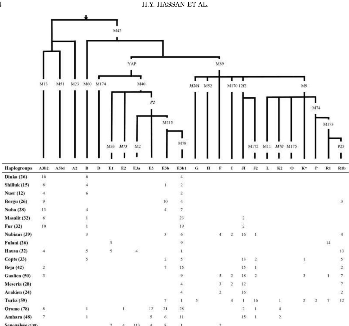 محمد عبد الرحيم 🇸🇩 tweet media