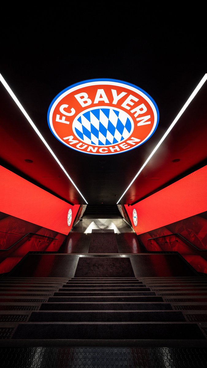 sᴘᴏʀᴛɪᴍɪᴢᴇ tweet media