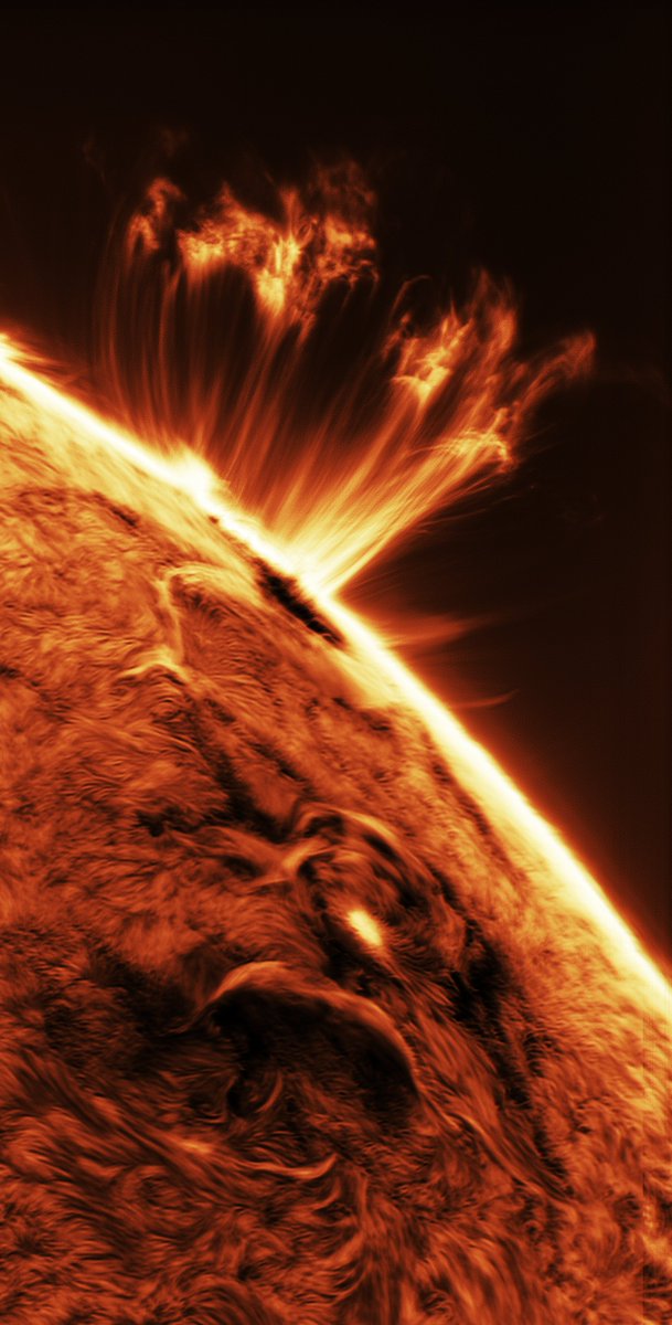 Andrew McCarthy tweet media