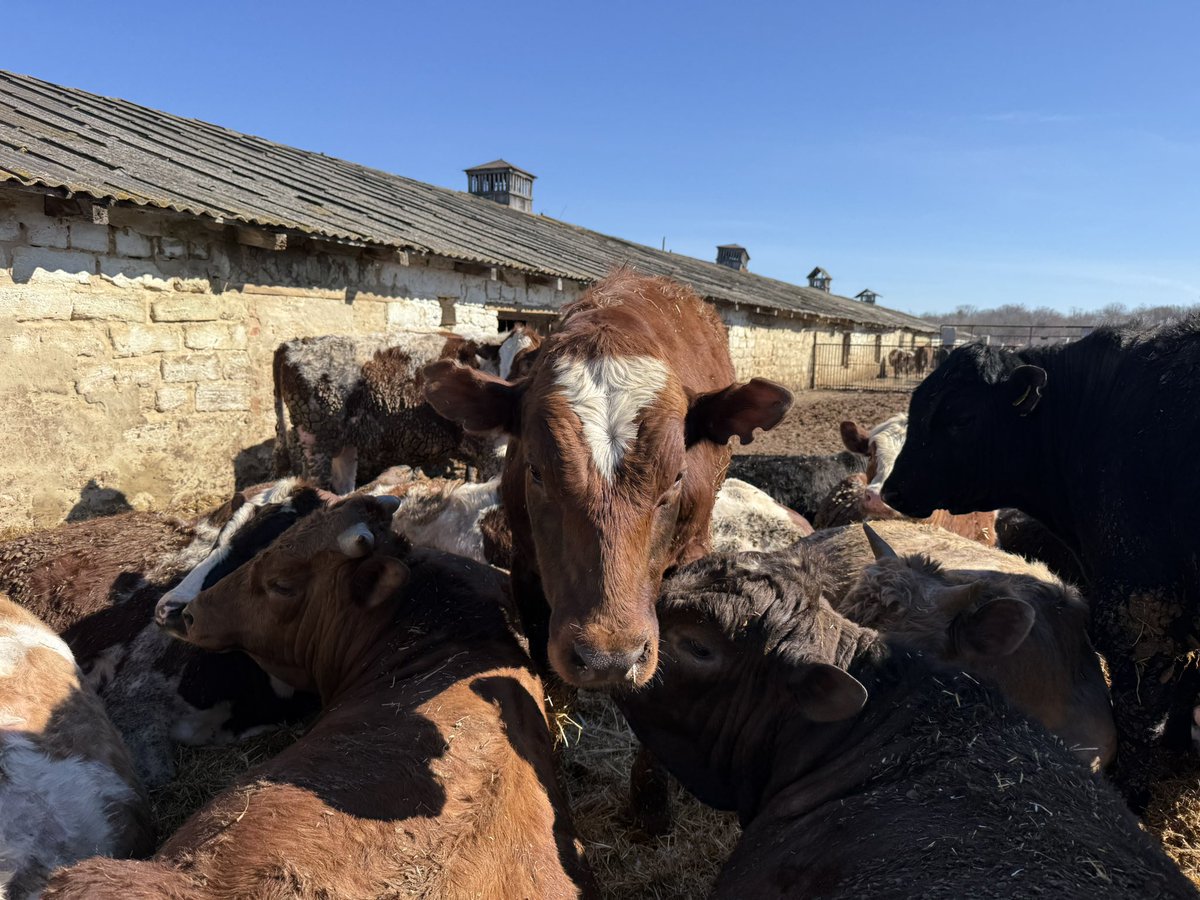 🇺🇦Yaroslav🇺🇦 tweet media