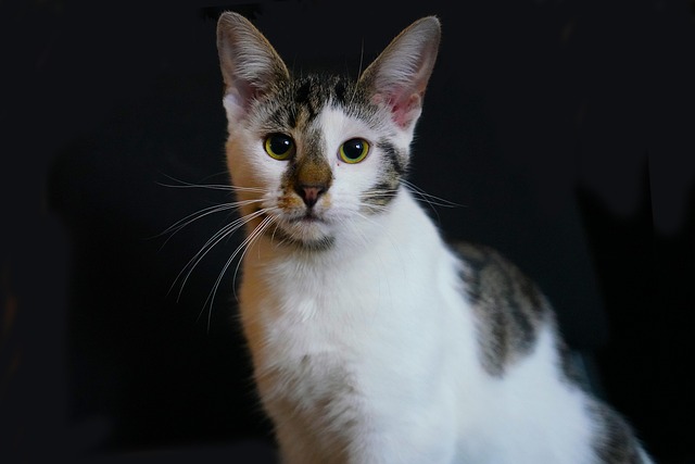 Jason Simons tweet media