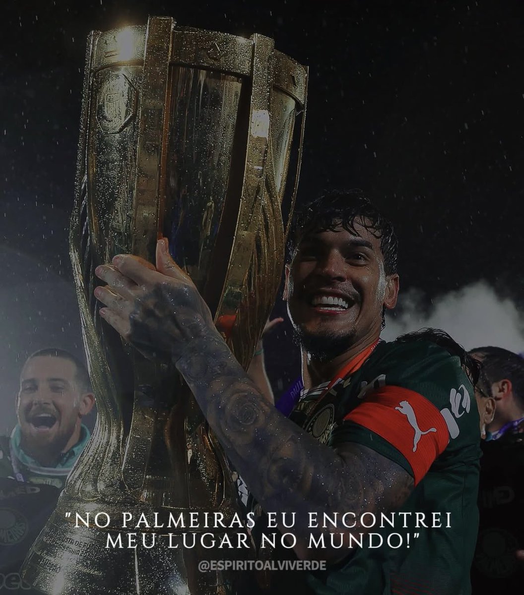 Stefano Napolitano tweet media