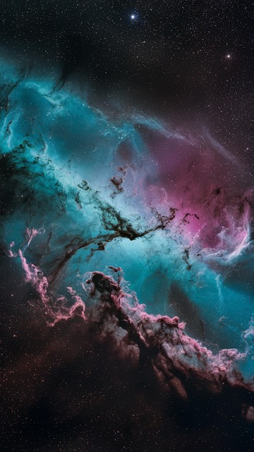 Amy Wingard tweet media