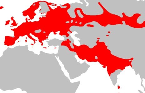 \¤◇¤/ tweet media