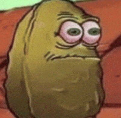 Tito 🌲 tweet media