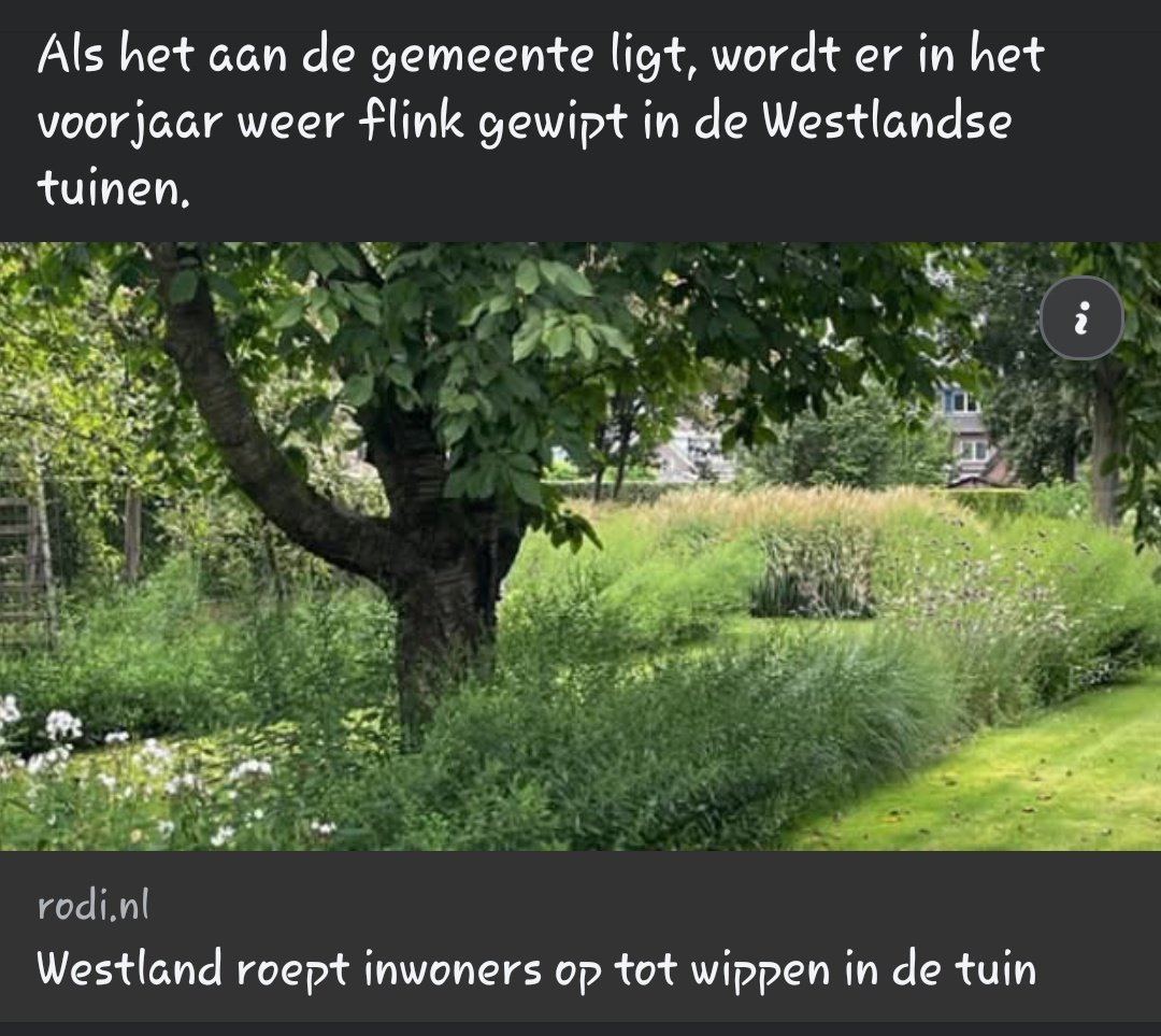 🤘Queen of Redheads🤘 tweet media