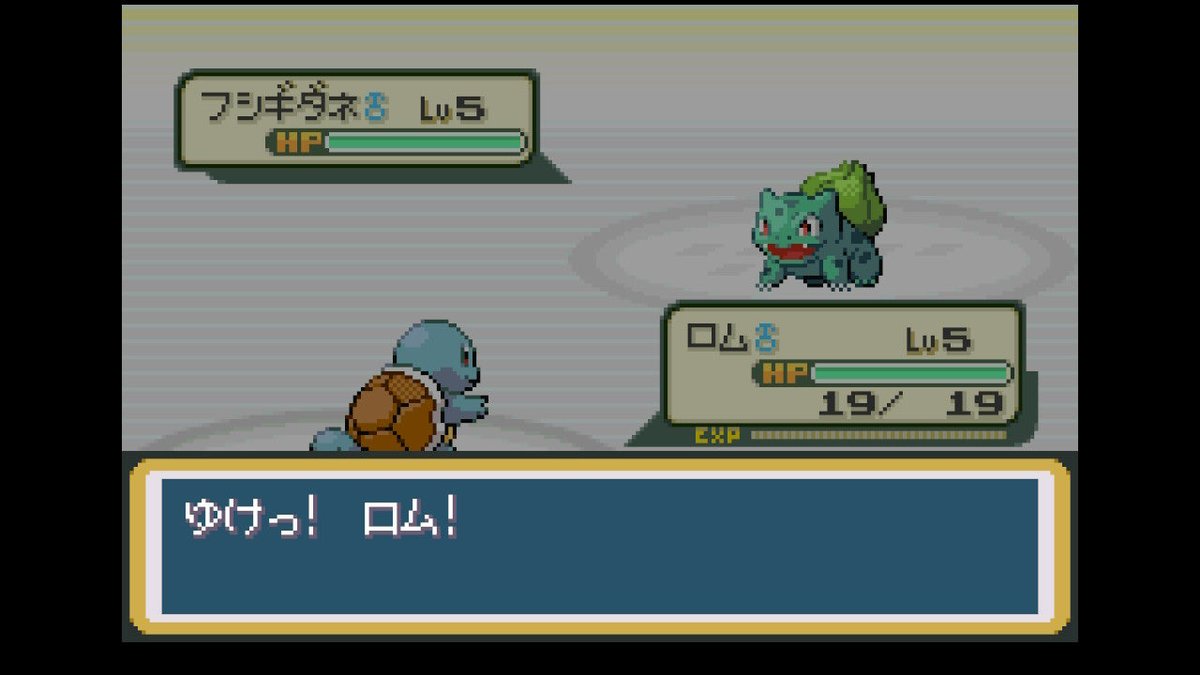 ぼすりー🦎 tweet media