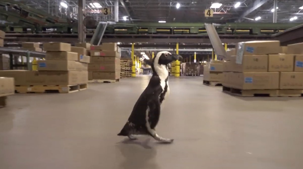 Penguin Books USA tweet media