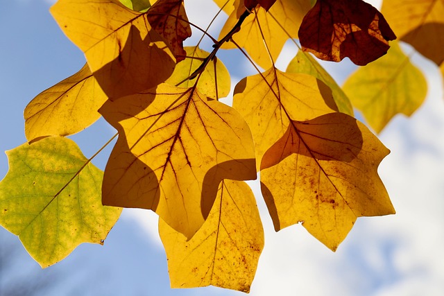 Ashley Johnson tweet media