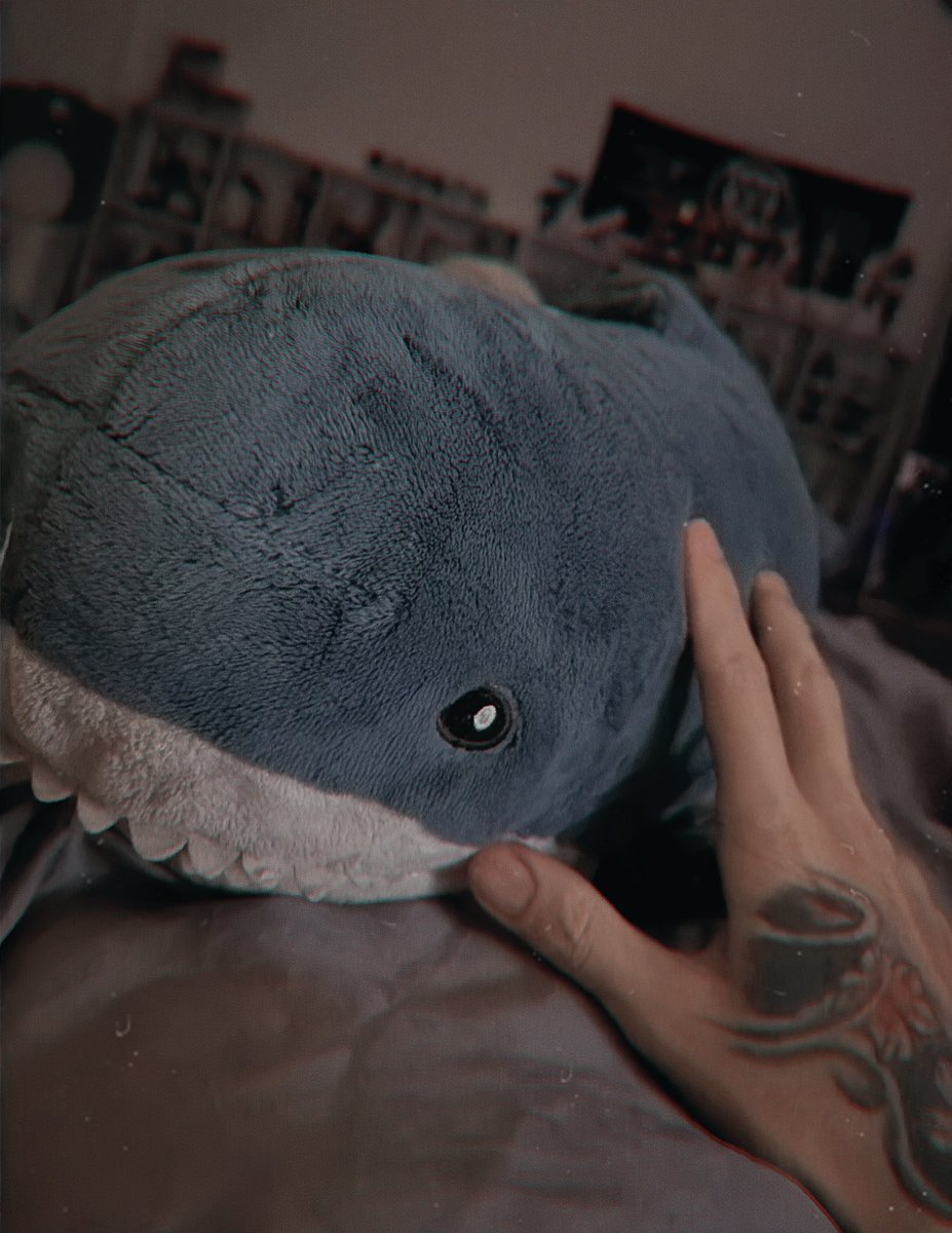 心碎小狗👾. tweet media