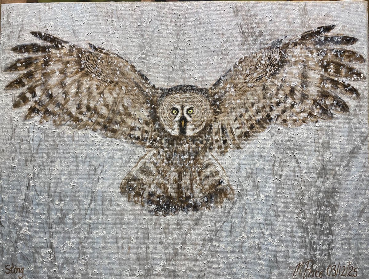 PriceMatth78136's tweet photo. Take part in this raffle to help the SSO Sting Unit &amp; you could win this hand painted oil on canvas Great Grey Owl for a $5 ticket, please chip in if you can chaps 💛💙

@NicoletteNAFO1

@Batfella_Rises

@NicoletteNAFO02 https://t.co/V2qoc4DPdr
