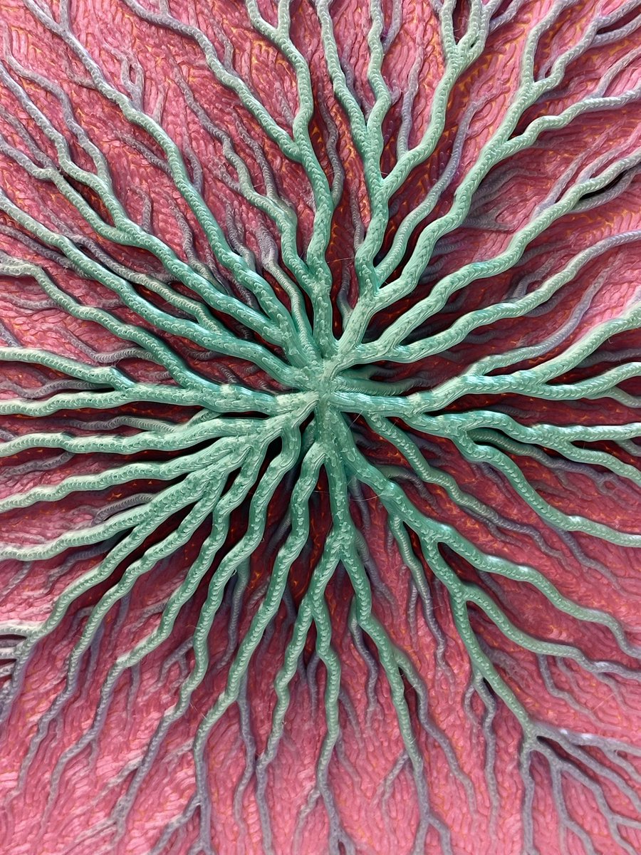 DaveMakesStuff tweet media