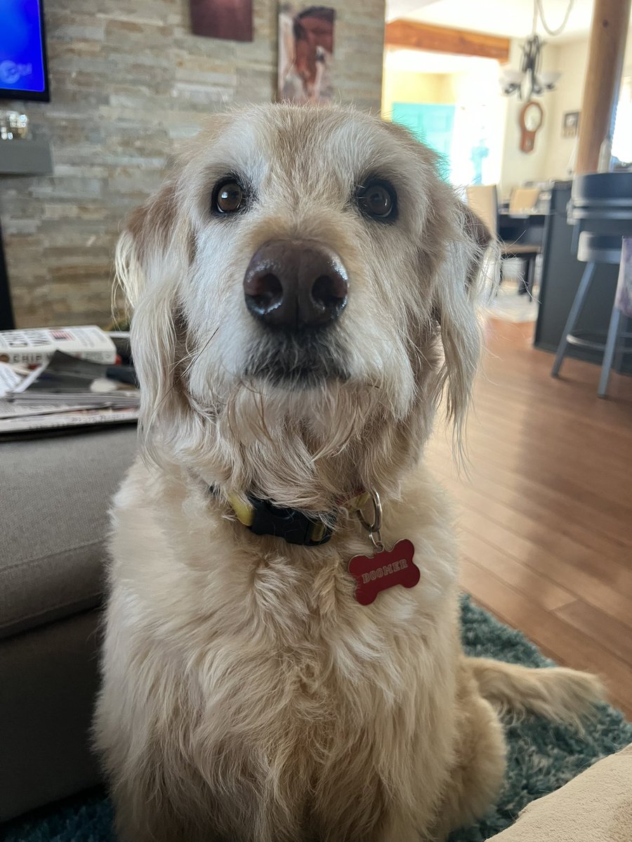 Ramona Teale tweet media