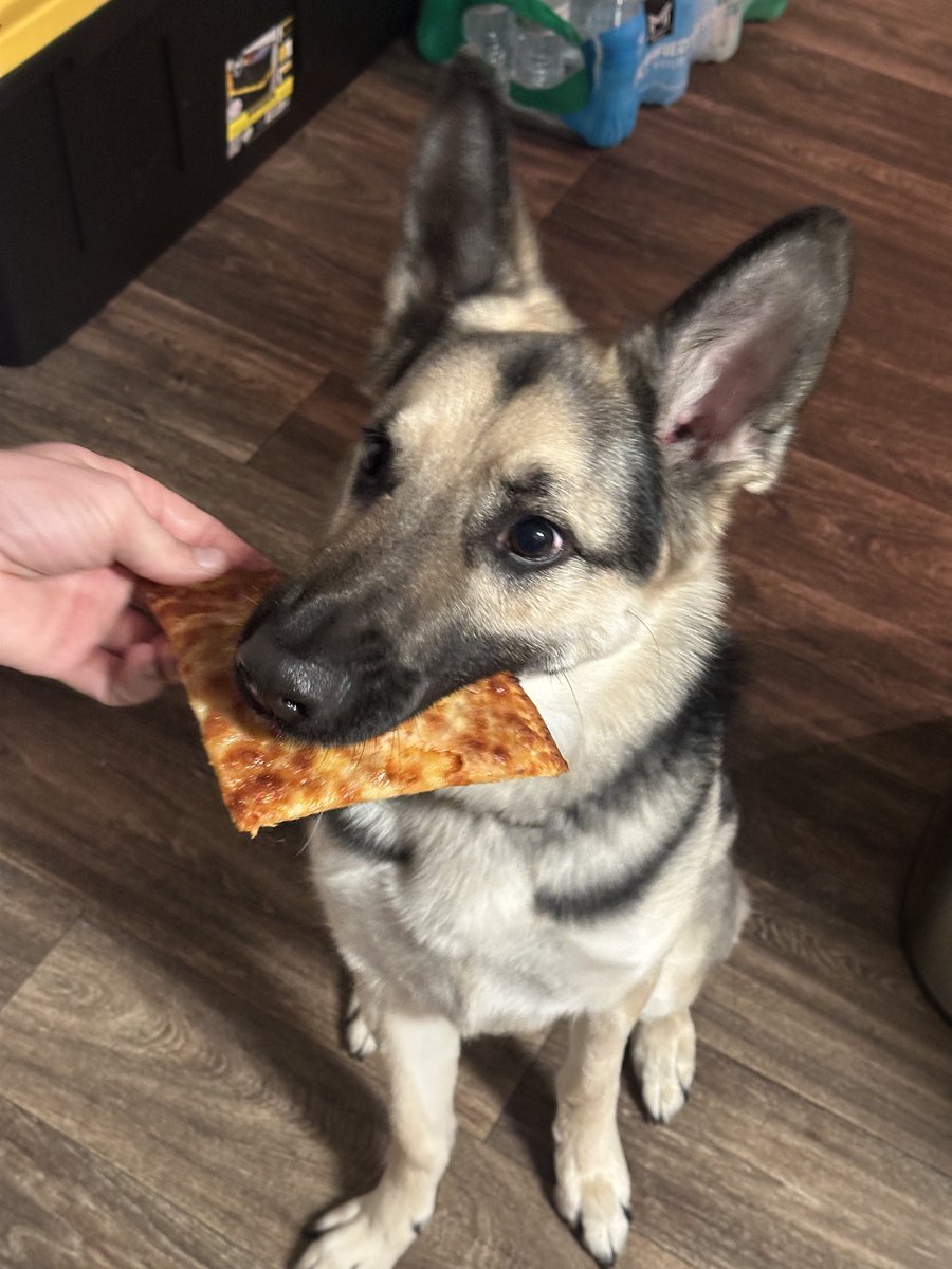 maverick tweet media