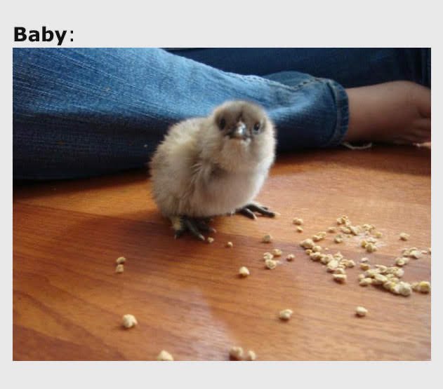 Grande (@sixrande) on Twitter photo 