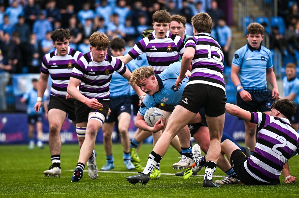 Leinster Domestic tweet media